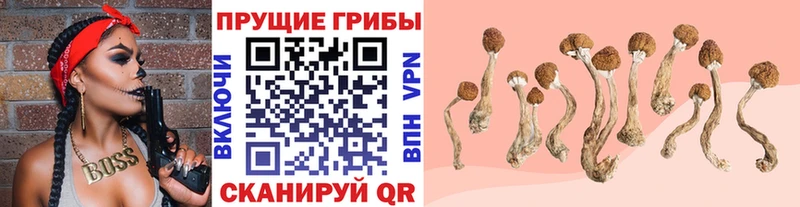 Галлюциногенные грибы ЛСД  Кубинка 
